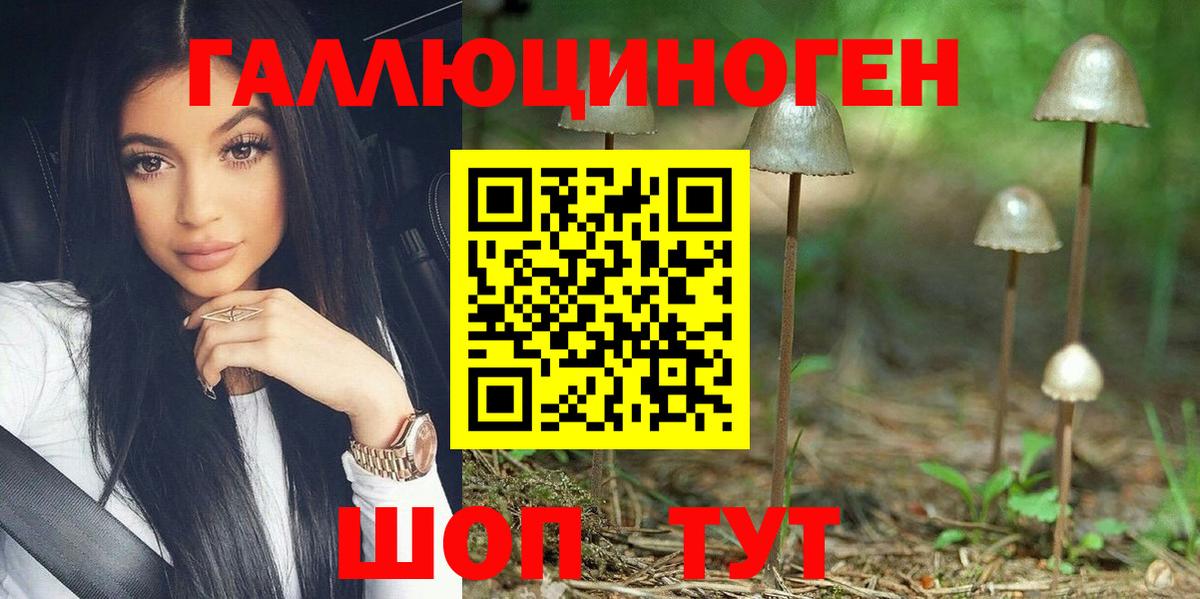 Галлюциногенные грибы Psilocybine cubensis Вольск