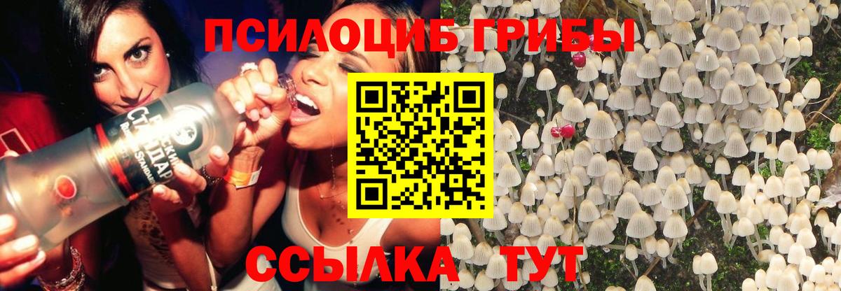Галлюциногенные грибы MAGIC MUSHROOMS  Псилоцибиновые грибы ЛСД  Вольск  Вход с VPN 